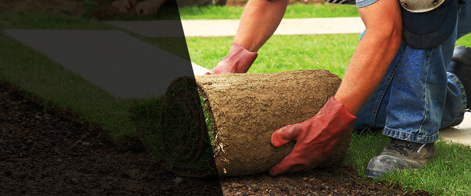 Lake Village Landscapers